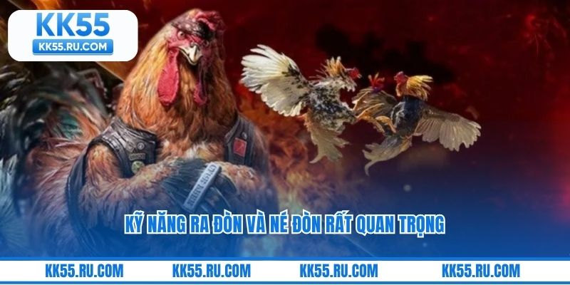 Kỹ năng ra đòn và né đòn rất quan trọng