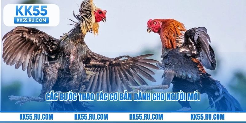 Các bước thao tác cơ bản dành cho người mới