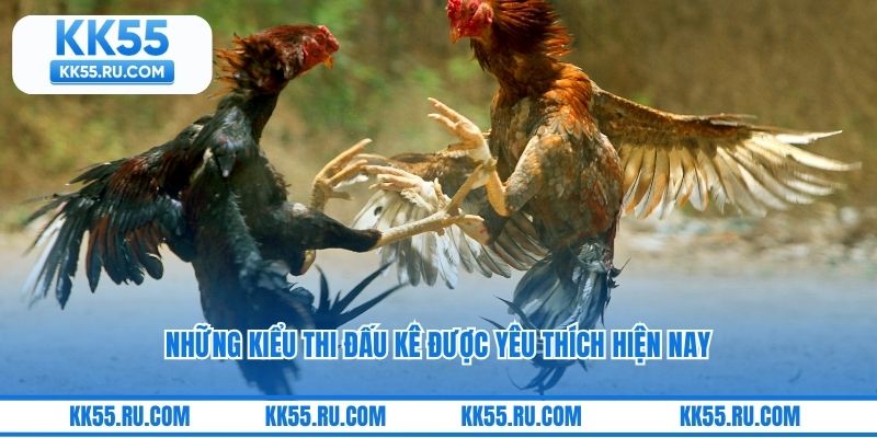 Những kiểu thi đấu kê được yêu thích hiện nay