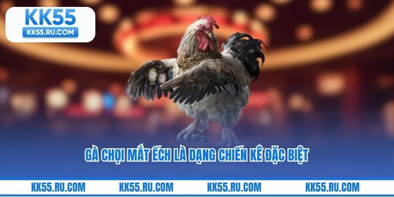 Gà chọi mắt ếch là dạng chiến kê đặc biệt