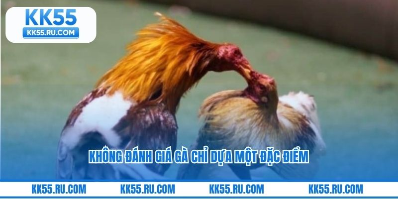Không đánh giá gà chỉ dựa một đặc điểm