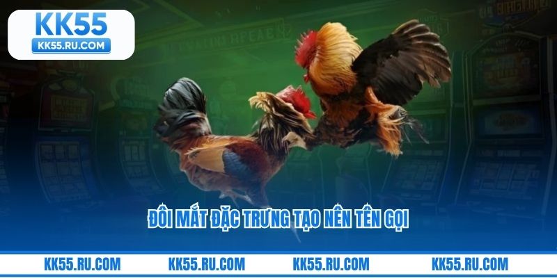 Đôi mắt đặc trưng tạo nên tên gọi